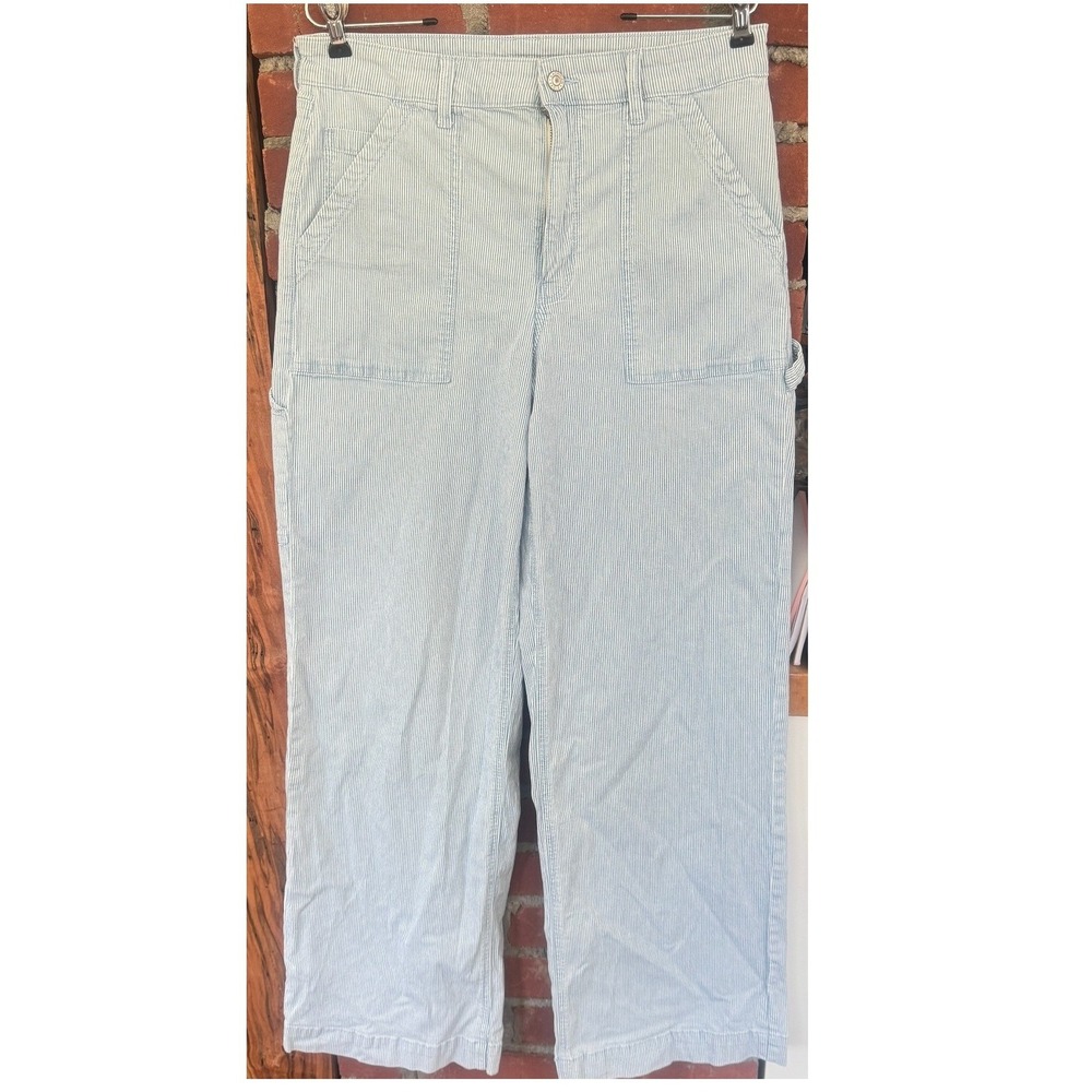 American Eagle Hickory Stripe Carpenter Pants Blue White Stretch Size 12 Long